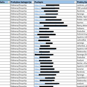 dropshipping tiekejai